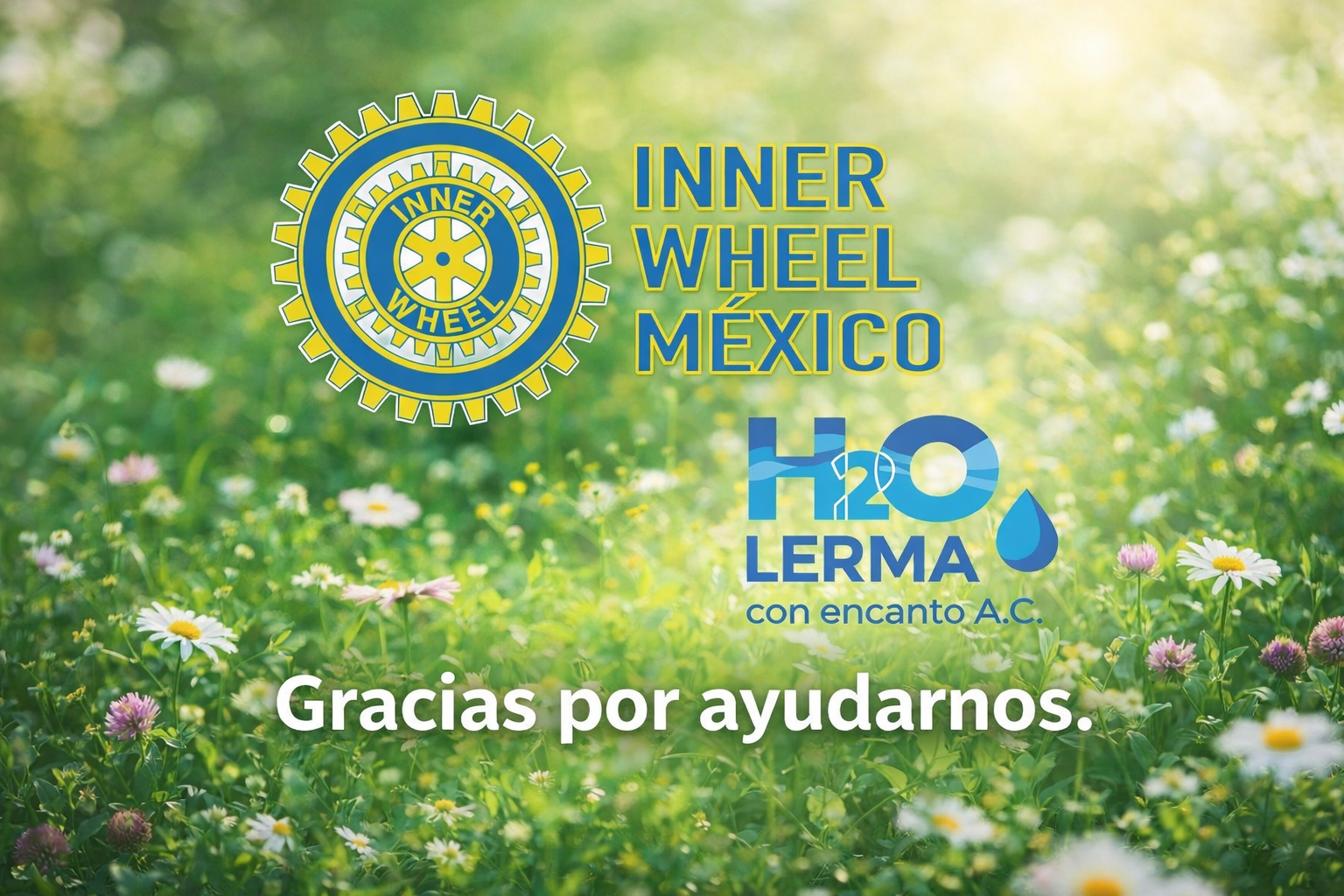 Gracias por ayudarnos